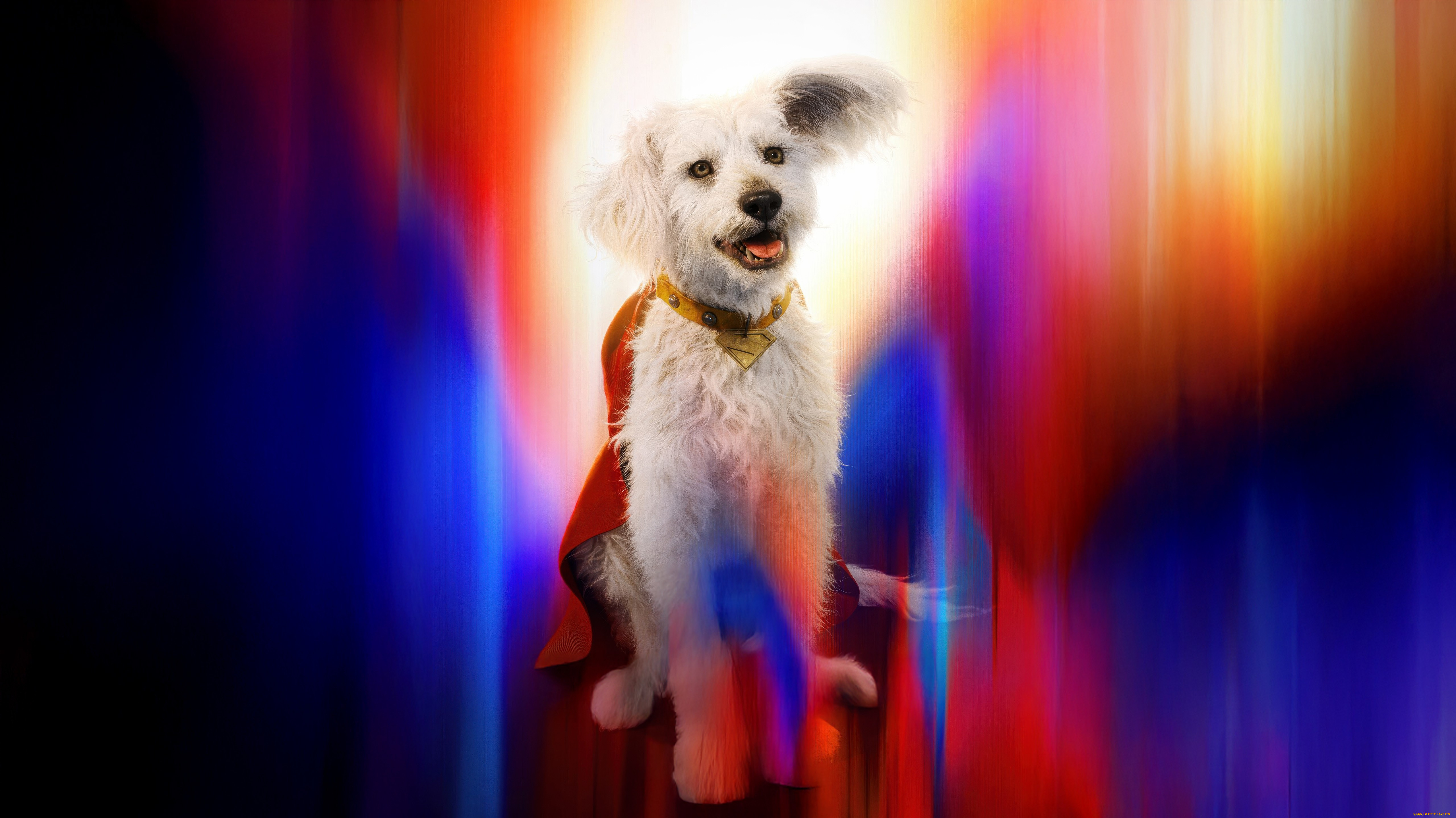  , superman , 2025, krypto, superman